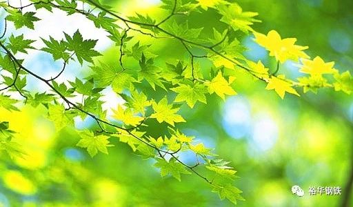 梦想因春天生出希望