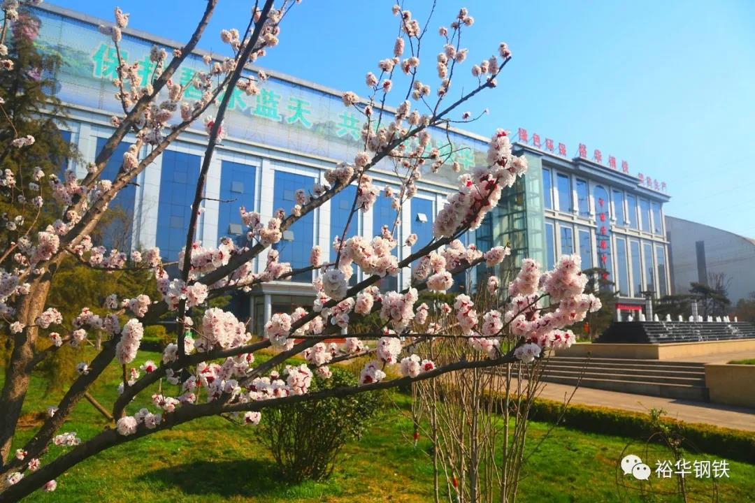 五彩缤纷 扮靓生态冀钢